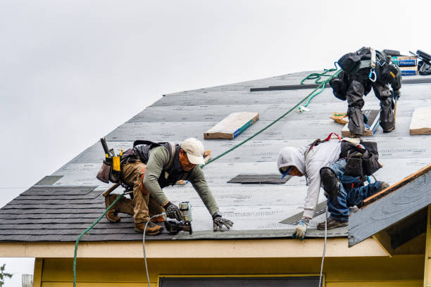 Professional Roofing technician working in Burlington, IL